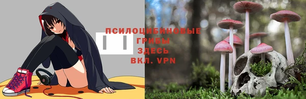 метадон Арсеньев
