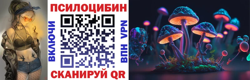 где купить   Куса  Галлюциногенные грибы Psilocybe 