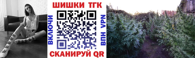 Канабис семена  Куса 
